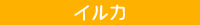 イルカ