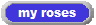 my roses