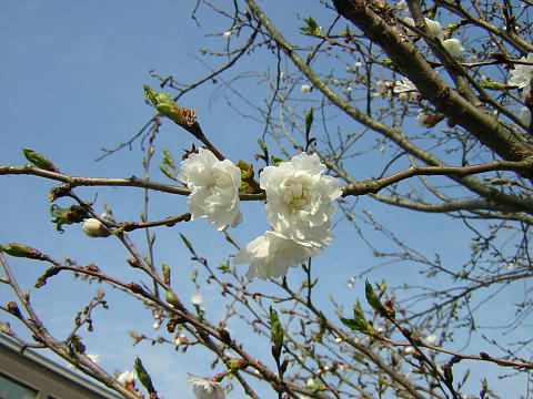 \i2008.3.30j
