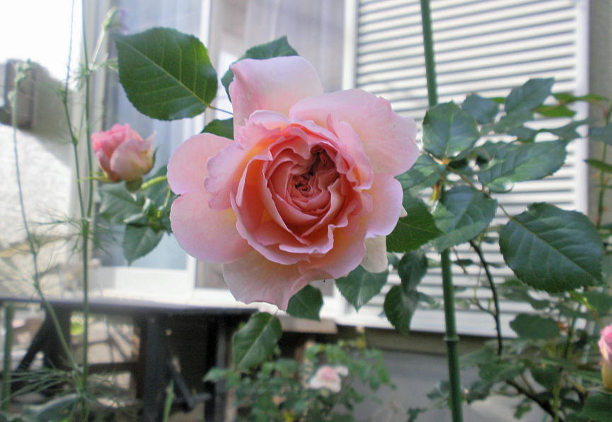AunE_[r[i2011.5.21j