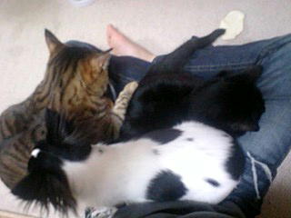 LEcqi08.03.01)