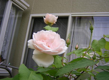 }_AtbhLG[i2008.5.9j