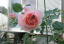 AunE_[r[i2011.5.21j