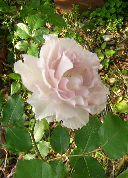 j[EF[ui2008.5.21j