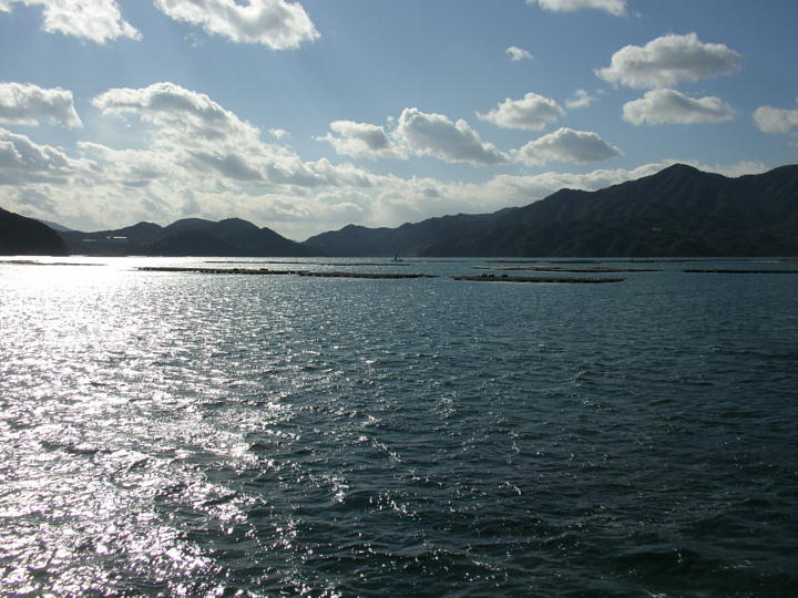 Vt̊Ci2009.1.12j