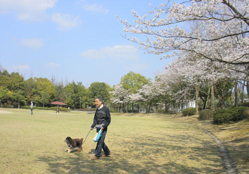 Ui2009.4.5j