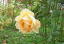 fBqgi2007.10.30j