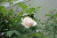}_EAtbhELG[(2010.5.13)