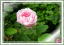 ̃A[[Yi2008.5.18j