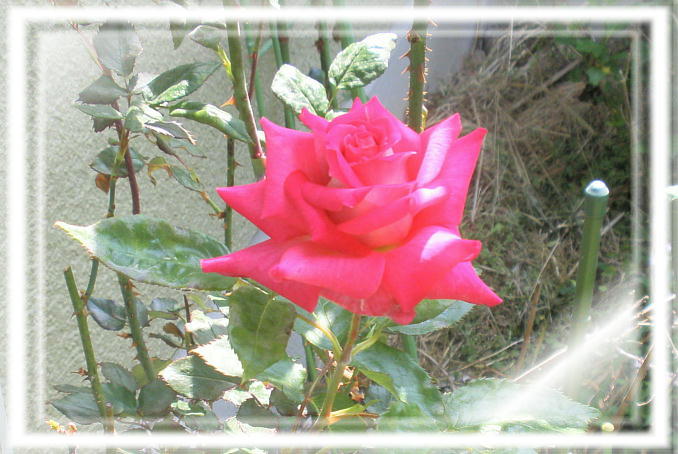 Ɣni2009.5.9j