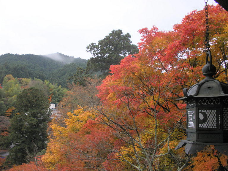 kR_Ђ̉Li2010.11.23j