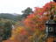 kR_Ђ̉Li2010.11.23j
