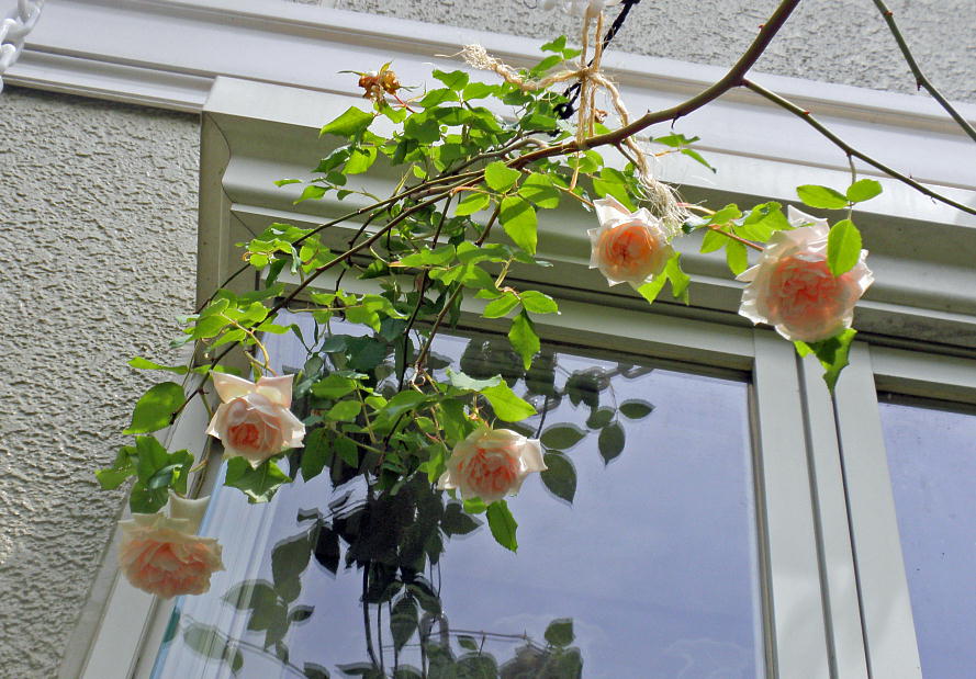 }_EAtbhELG[i2011515j