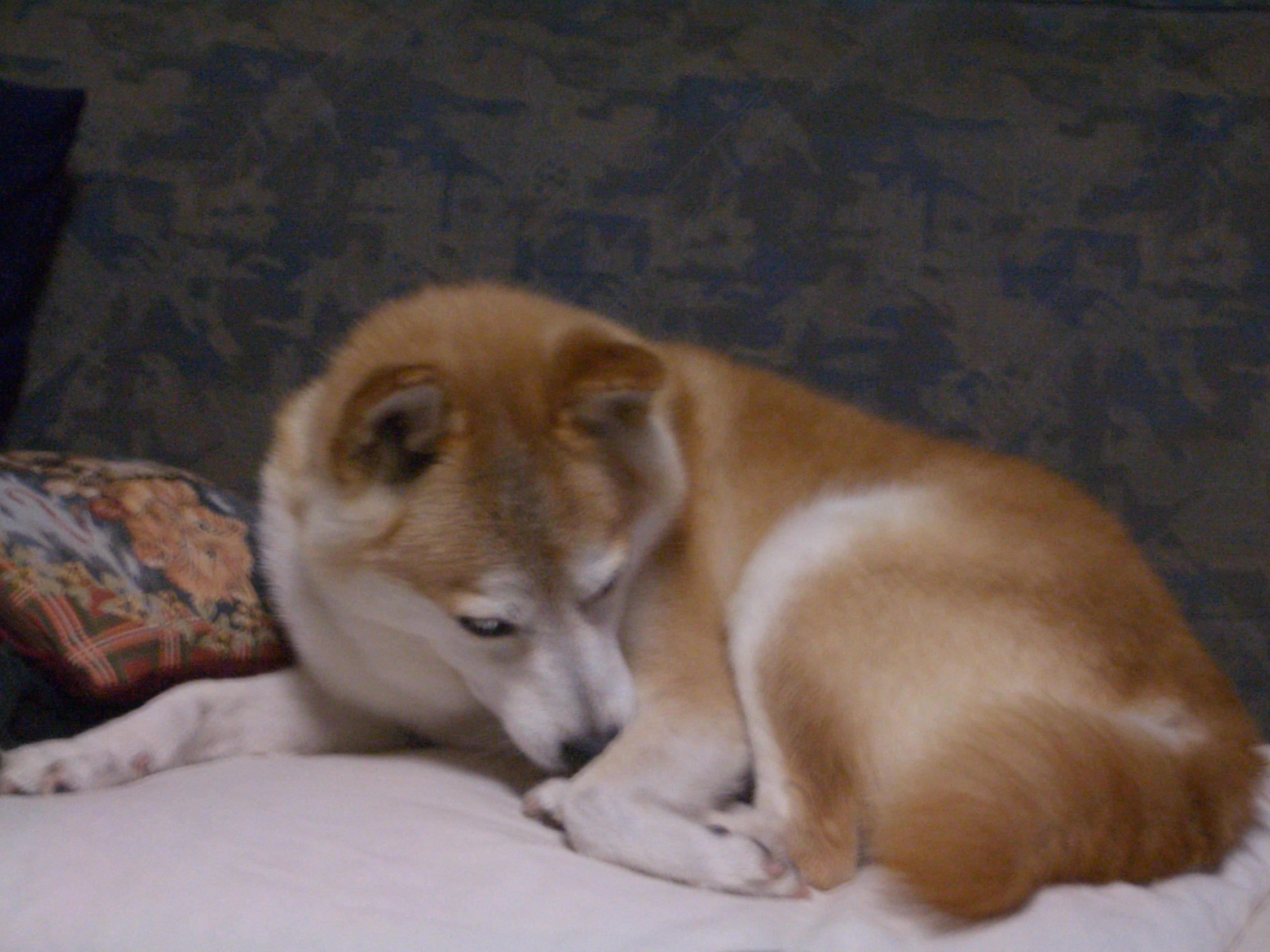 2007.5.22