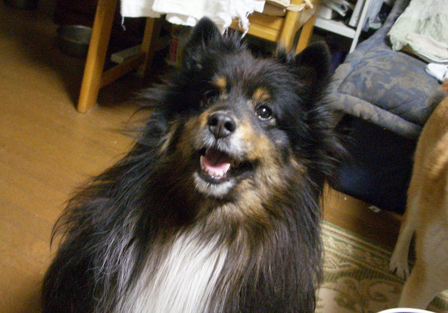 2005.6.1