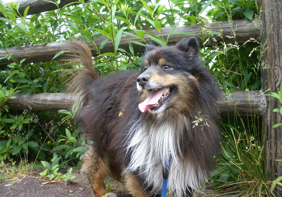 2007.5.11