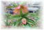 NX}X[Yi2011.3.21j