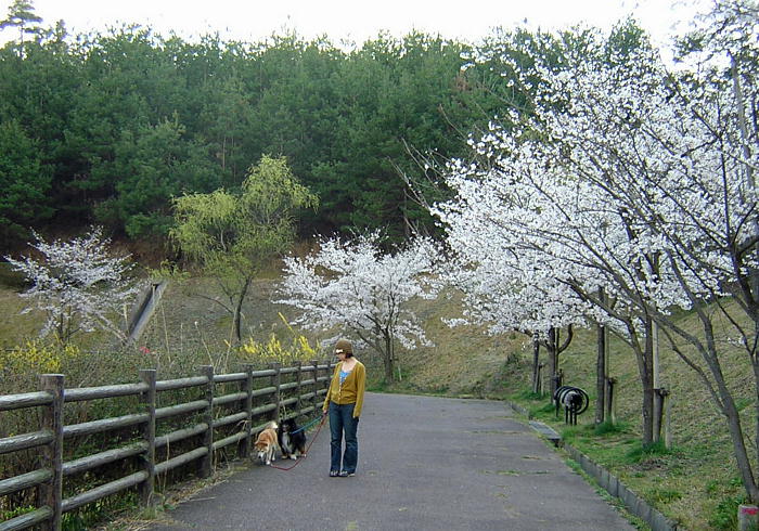 2007.4.7