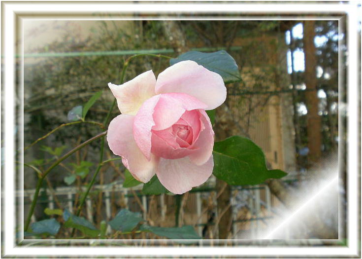 ~̃we[Wi2009.1.1j