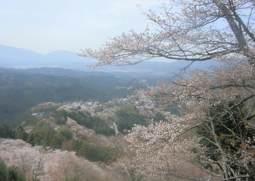 g̍i2011.4.17j