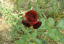 E[WEGEm[i2012.5.29)