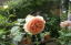 AunE_[r[(2012.5.24)