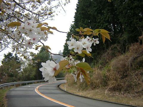 CR̎Ri2007.4.1j