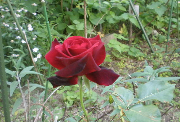 E[WEGEm[i2012.5.29j