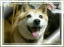 `XA肪Ƃi2009.6.17j
