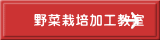 野菜栽培加工教室