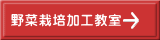 野菜栽培加工教室 
