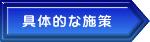 具体的な施策